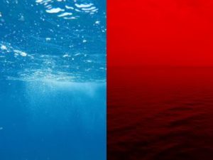 Océans bleus contre océans rouges (vidéo en anglais)